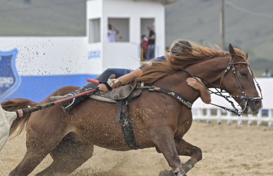 EXCLUSIVO TOP CODY